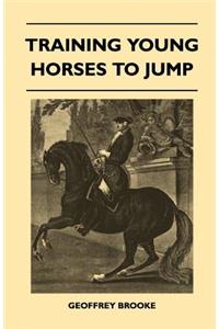 Training Young Horses To Jump