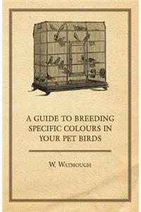 Guide to Breeding Specific Colours in Your Pet Birds