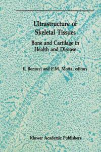 Ultrastructure of Skeletal Tissues