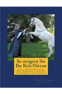 So steigern Sie Ihr Reit-Niveau