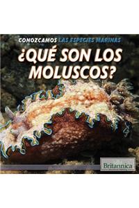 ¿Qué Son Los Moluscos? (What Are Mollusks?)
