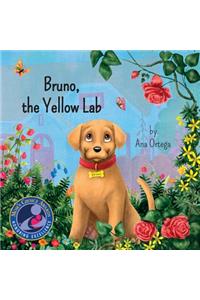 Bruno, the yellow lab