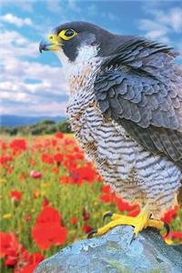 Peregrine Falcon vol.2 Notebook & Journal. Productivity Work Planner & Idea Notepad