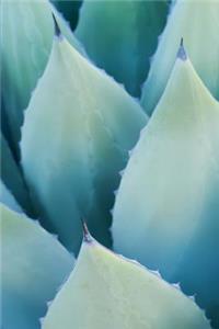 Agave Leaves Journal