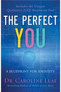 The Perfect You: A Blueprint for Identity