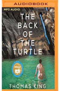 Back of the Turtle