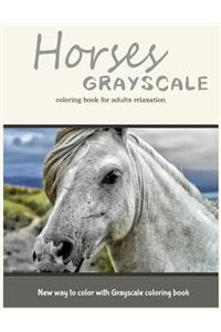 Horses Grayscale Coloring Book for Adults Relaxation