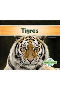 Tigres (Tigers) (Spanish Version)