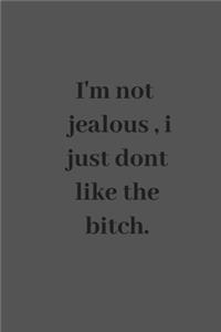 I'm not jealous, i just dont like the bitch