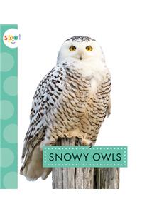 Snowy Owls