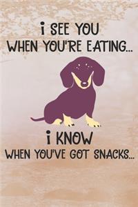 I See You When You're Eating I Know When You've Got Snacks Notebook Journal