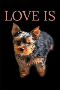 Love is