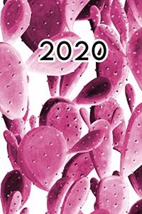 2020