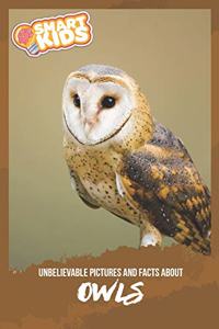 Unbelievable Pictures and Facts About Owls