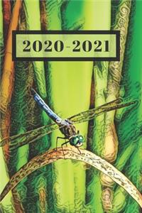 Green Eyed Blue Dragonfly Dated Calendar Planner 2 years To-Do Lists, Tasks, Notes Appointments