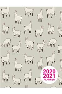 2020 2021 Planner