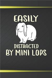 Easily Distracted By Mini Lops