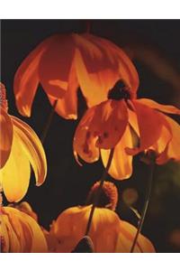 Orange Notebook Large Size 8.5 x 11 Ruled 150 pages Softcover