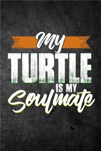 My Turtle Is My Soulmate