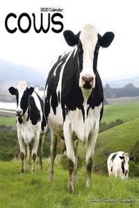 Cows Calendar 2020