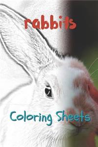 Rabbit Coloring Sheets