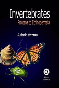 Invertebrates