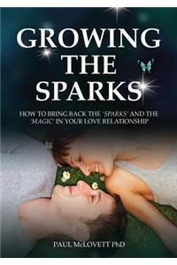 Growing the Sparks, How to Bring Back the Sparks and the Magic in Your Relationship