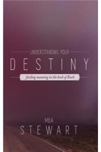 Understanding Destiny