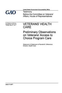 Veterans' health care, preliminary observations on veterans' access to choice program care