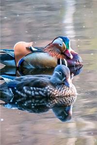 Mandarin Ducks on the Pond Journal