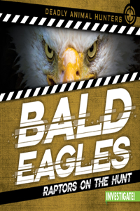 Bald Eagles: Raptors on the Hunt