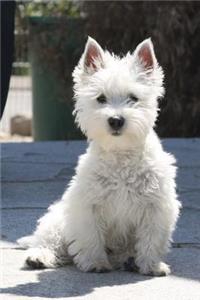 White West Highland Terrier Puppy Journal