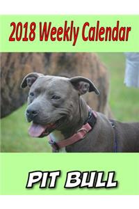 2018 Weekly Calendar Pit Bull