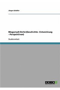 Megastadt Delhi (Geschichte - Entwicklung - Perspektiven)