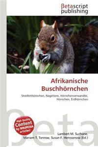 Afrikanische Buschhornchen