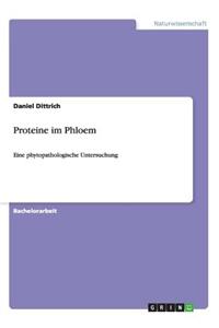 Proteine im Phloem
