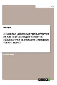 Effizienz als Verfassungsprinzip. Inwieweit ist eine Verpflichtung zu effizientem Handeln bereits im deutschen Grundgesetz vorgeschrieben?