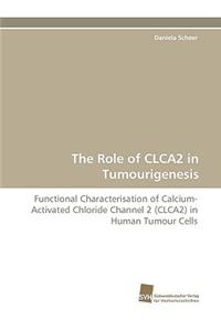 Role of Clca2 in Tumourigenesis