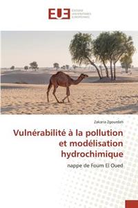 Vulnérabilité À La Pollution Et Modélisation Hydrochimique