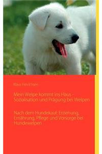 Mein Welpe kommt ins Haus - Sozialisation und Prägung bei Welpen: Nach dem Hundekauf: Erziehung, Ernährung, Pflege und Vorsorge bei Hundewelpen