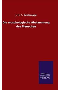 morphologische Abstammung des Menschen