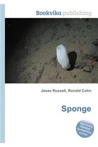 Sponge