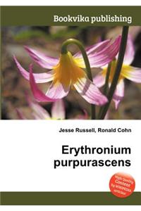 Erythronium Purpurascens