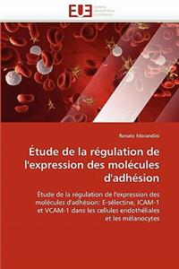 Étude de la Régulation de l'Expression Des Molécules d'Adhésion