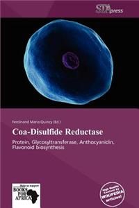 Coa-Disulfide Reductase