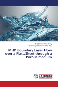 MHD Boundary Layer Flow over a Plate/Sheet through a Porous medium