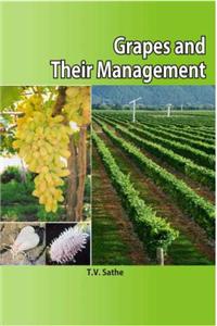 Grapes and Their Management