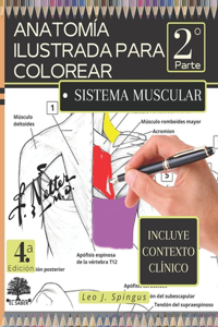 Anatomía Ilustrada Para Colorear