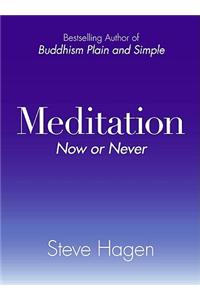 Meditation Now or Never