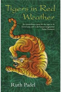Tigers in Red Weather
